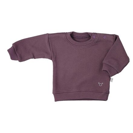 Dojčenské tričko Koala Pure purple fialová 62 (3-6m)
